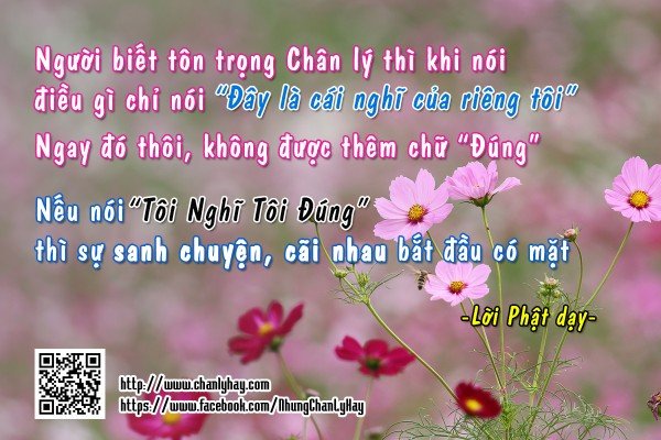 Không cãi nhau khi tranh luận