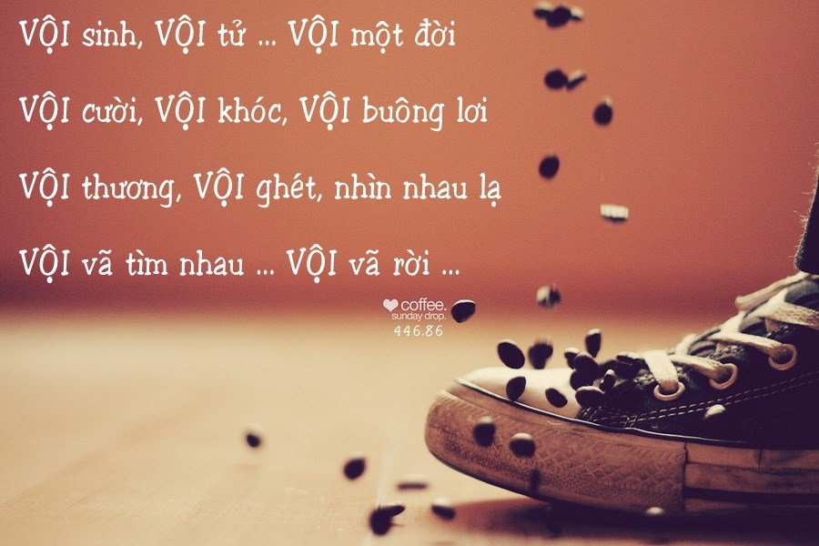 Vội đến, vội đi, vội nhạt nhòa. Vội vàng sum họp vội chia xa