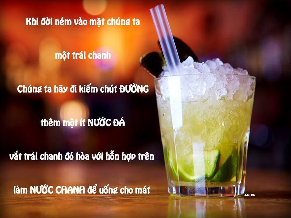 Sống Vui Giữa Cuộc Đời